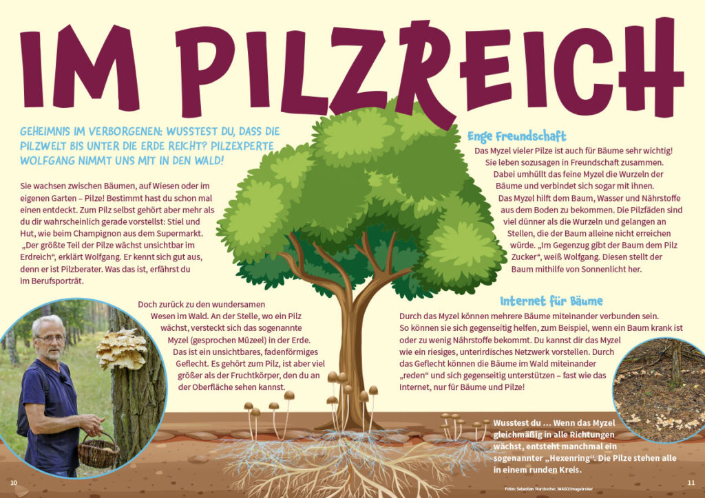 Abbildung Titelthema MATSCH! September "Im Pilzreich"