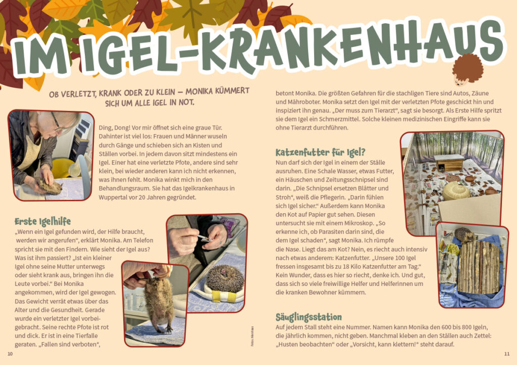 MATSCH! Inhaltsseite Igelkrankenhaus