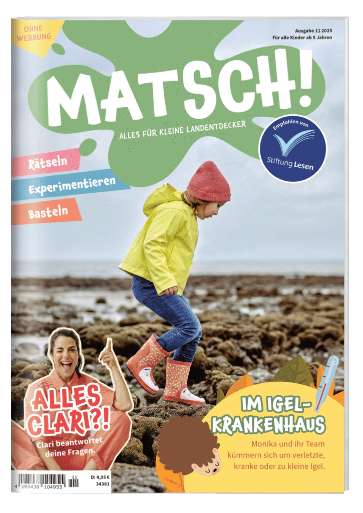 Cover von der Novemberausgabe des MATSCH! Magazins mit