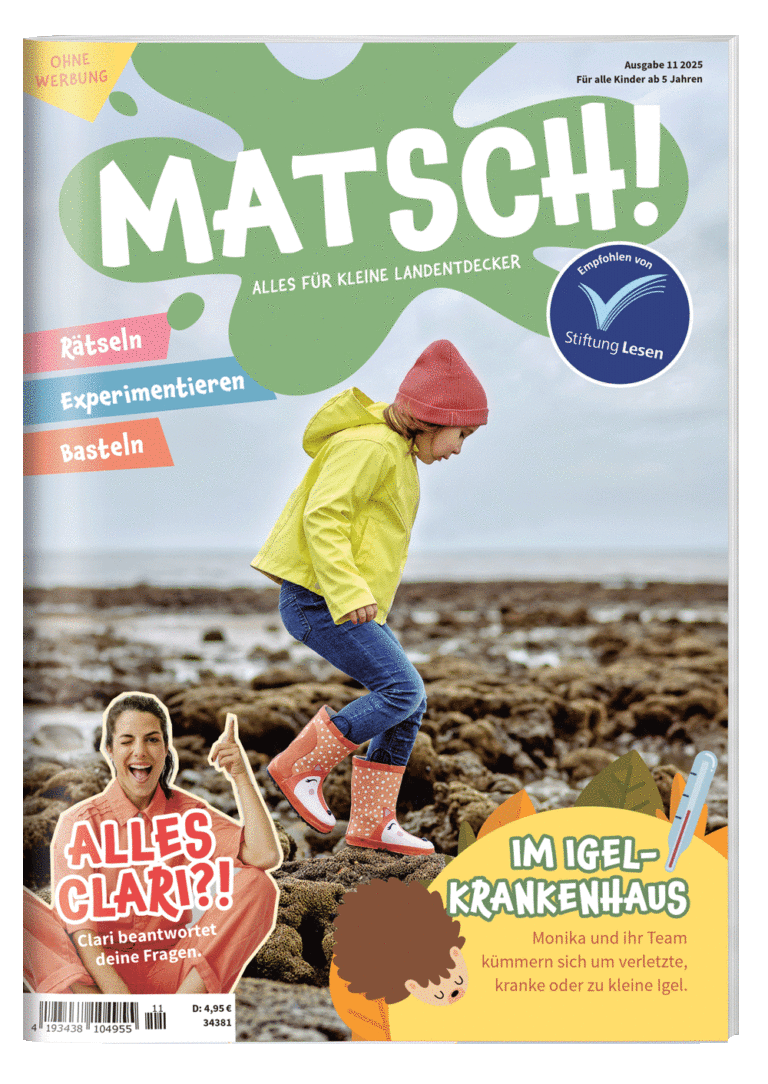 Cover von der Novemberausgabe des MATSCH! Magazins mit