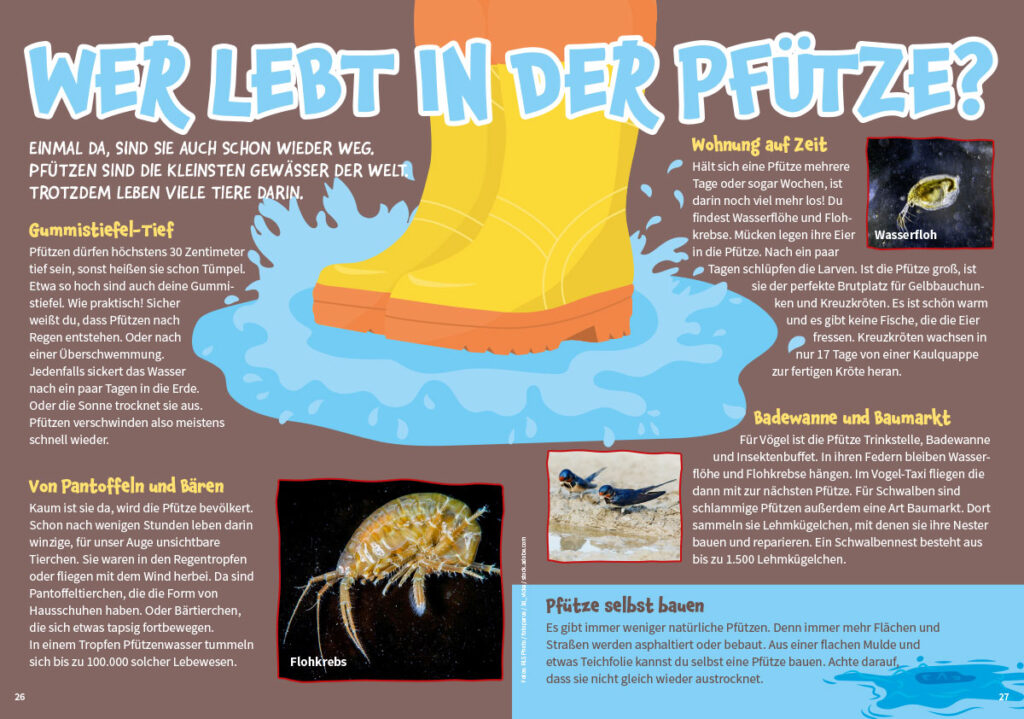 MATSCH! Kinderzeitschrift Inhalt März Ausgabe