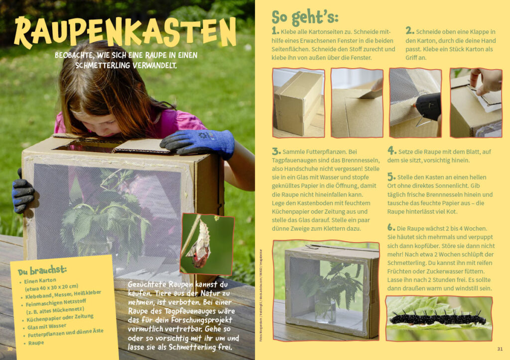 MATSCH! Kinderzeitschrift Juni 2026 DIY Raupenkasten