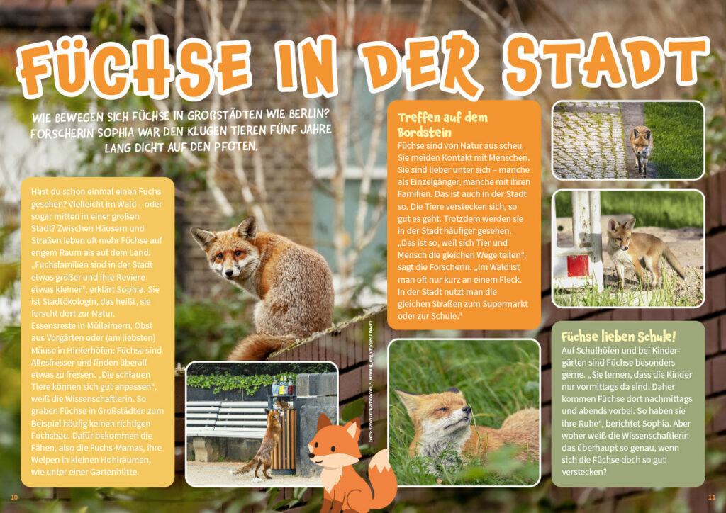 Titelthema MATSCH! Kinderzeitschrift Oktober 2026 Füchse in der Stadt